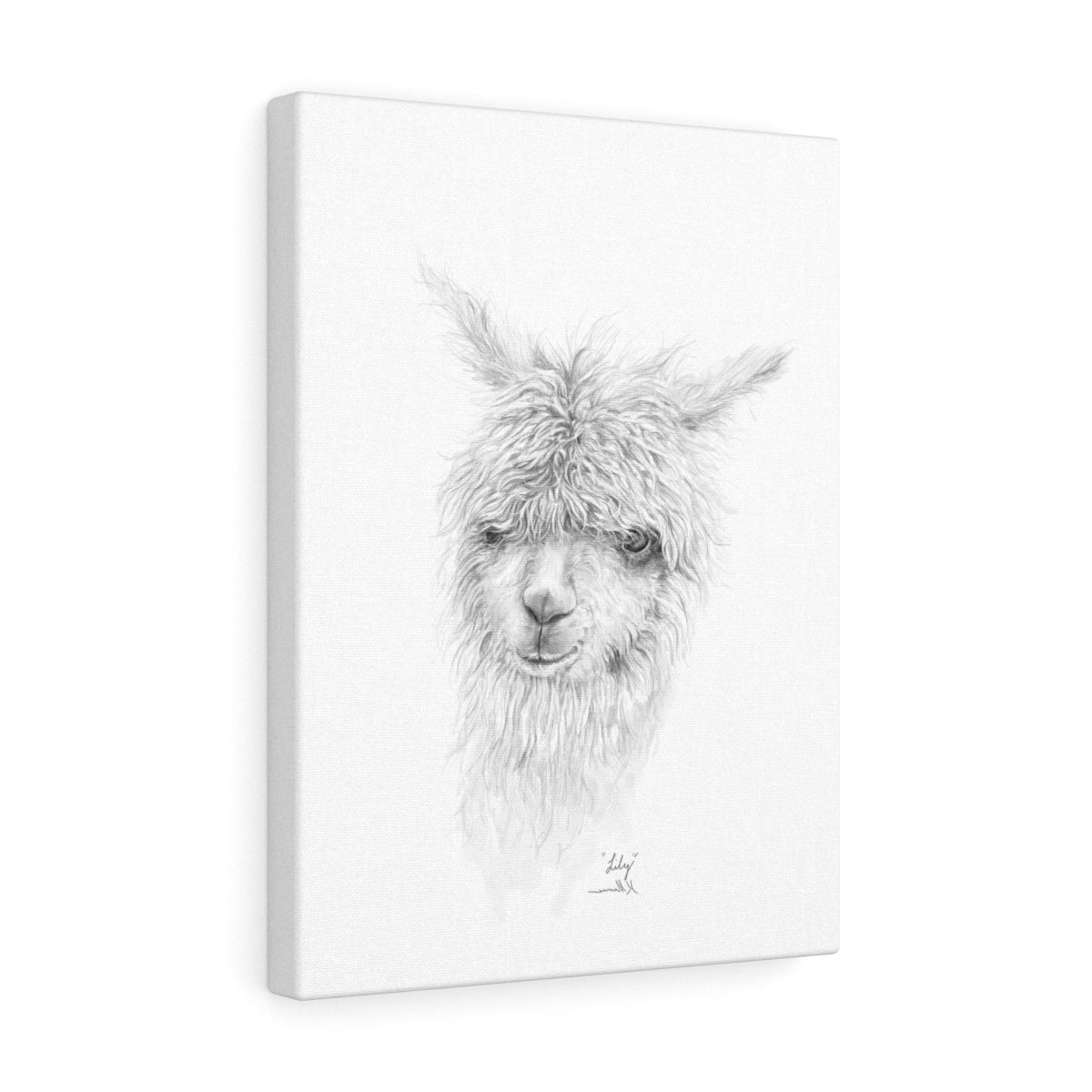 LILY Llama - Art Canvas