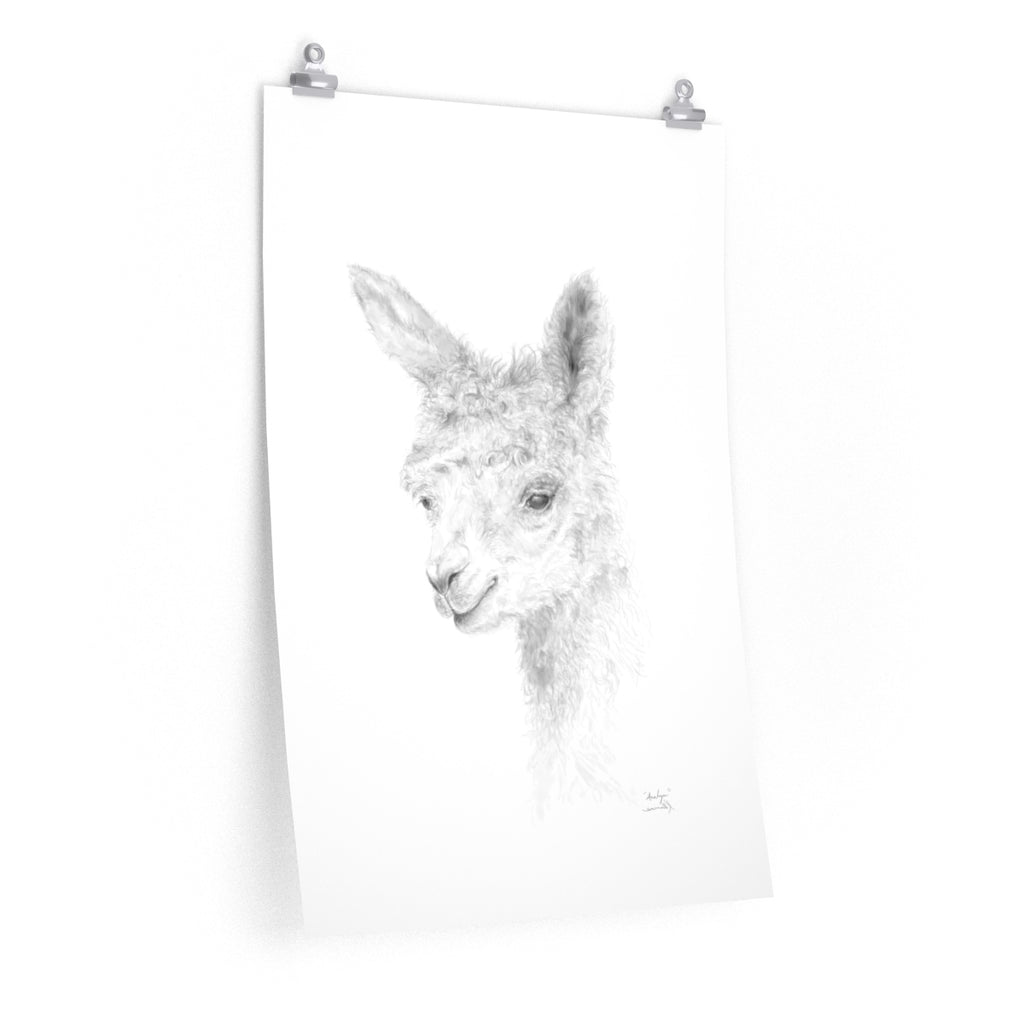 ANALYN Llama- Art Paper Print