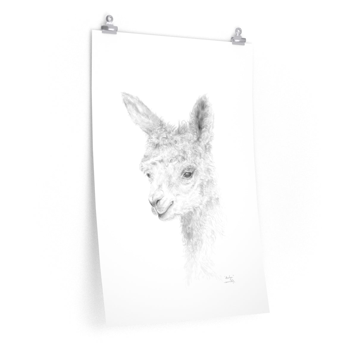 ANALYN Llama- Art Paper Print