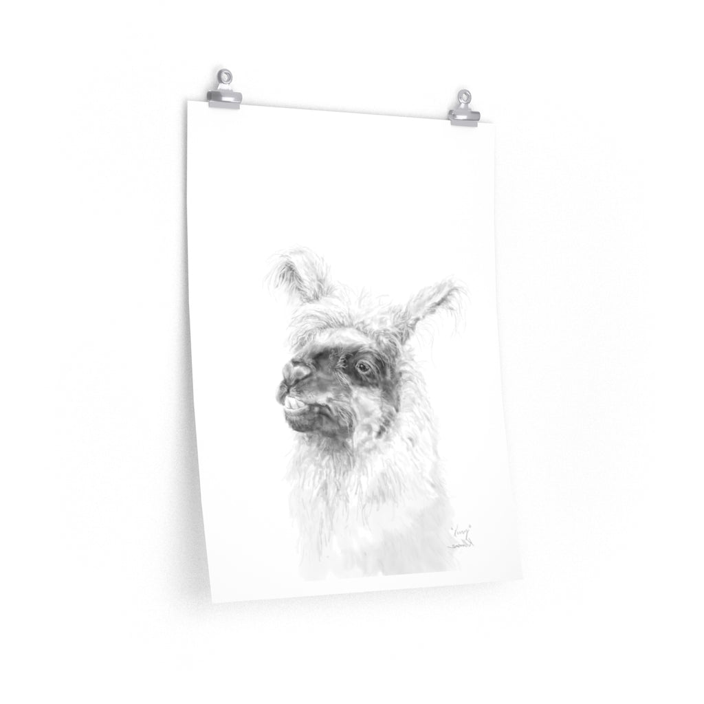 KERRY Llama- Art Paper Print