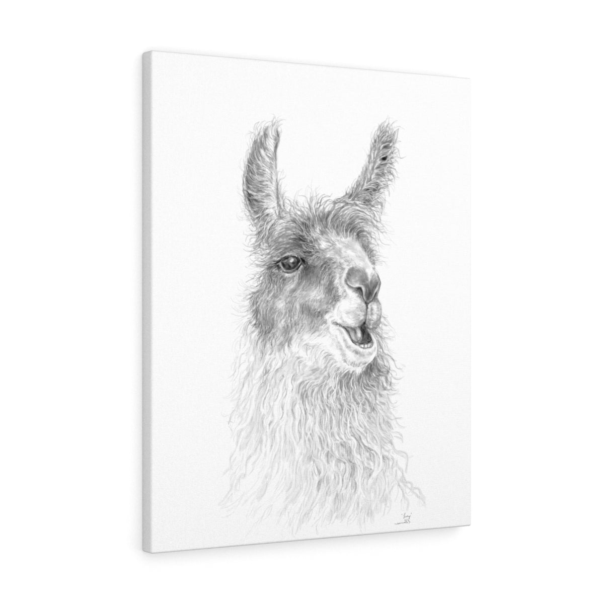 LUCY Llama - Art Canvas