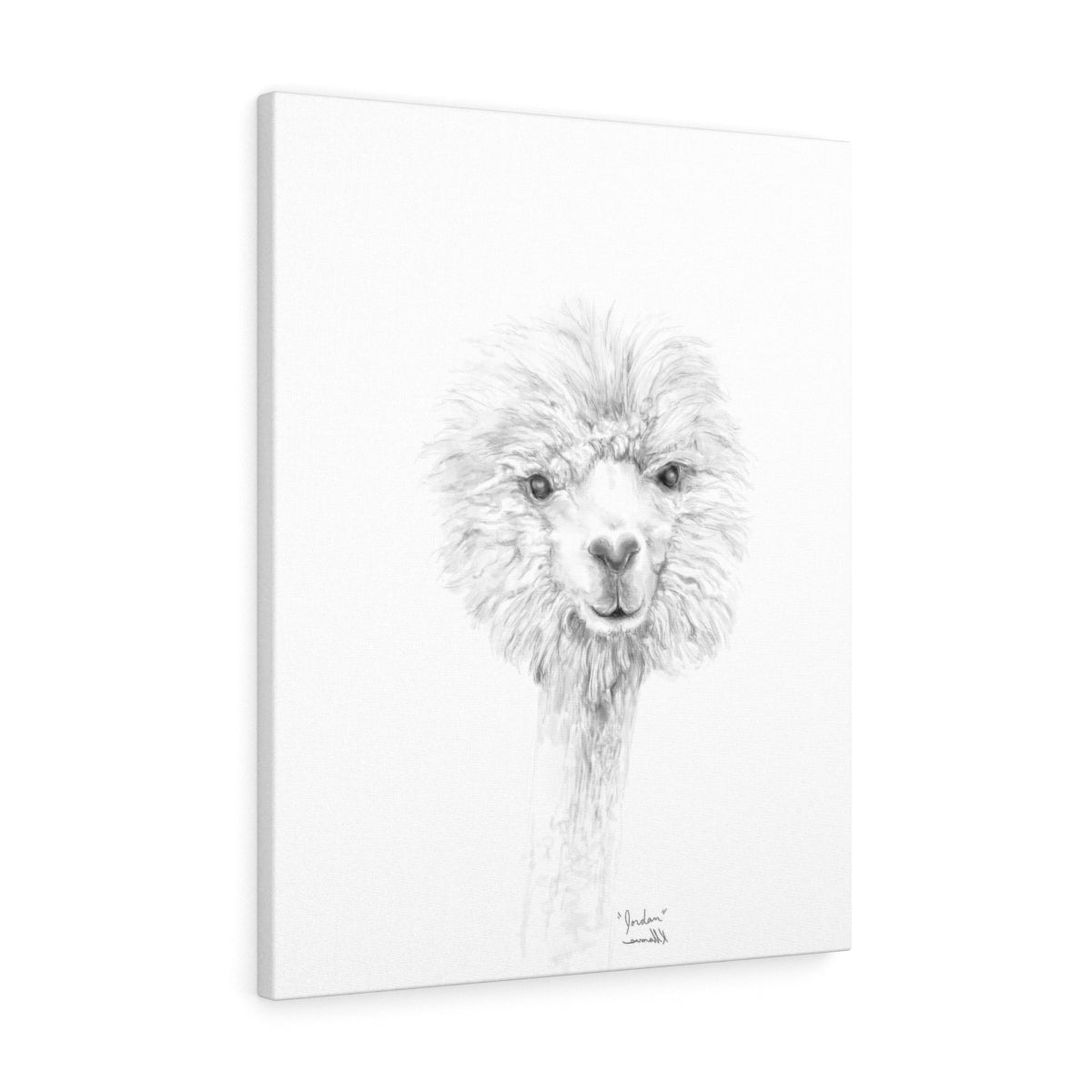 JORDAN Llama - Art Canvas