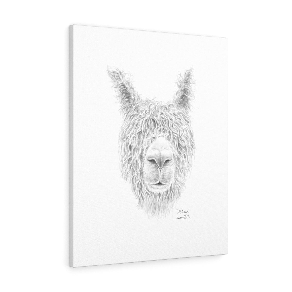 MELISSA Llama - Art Canvas