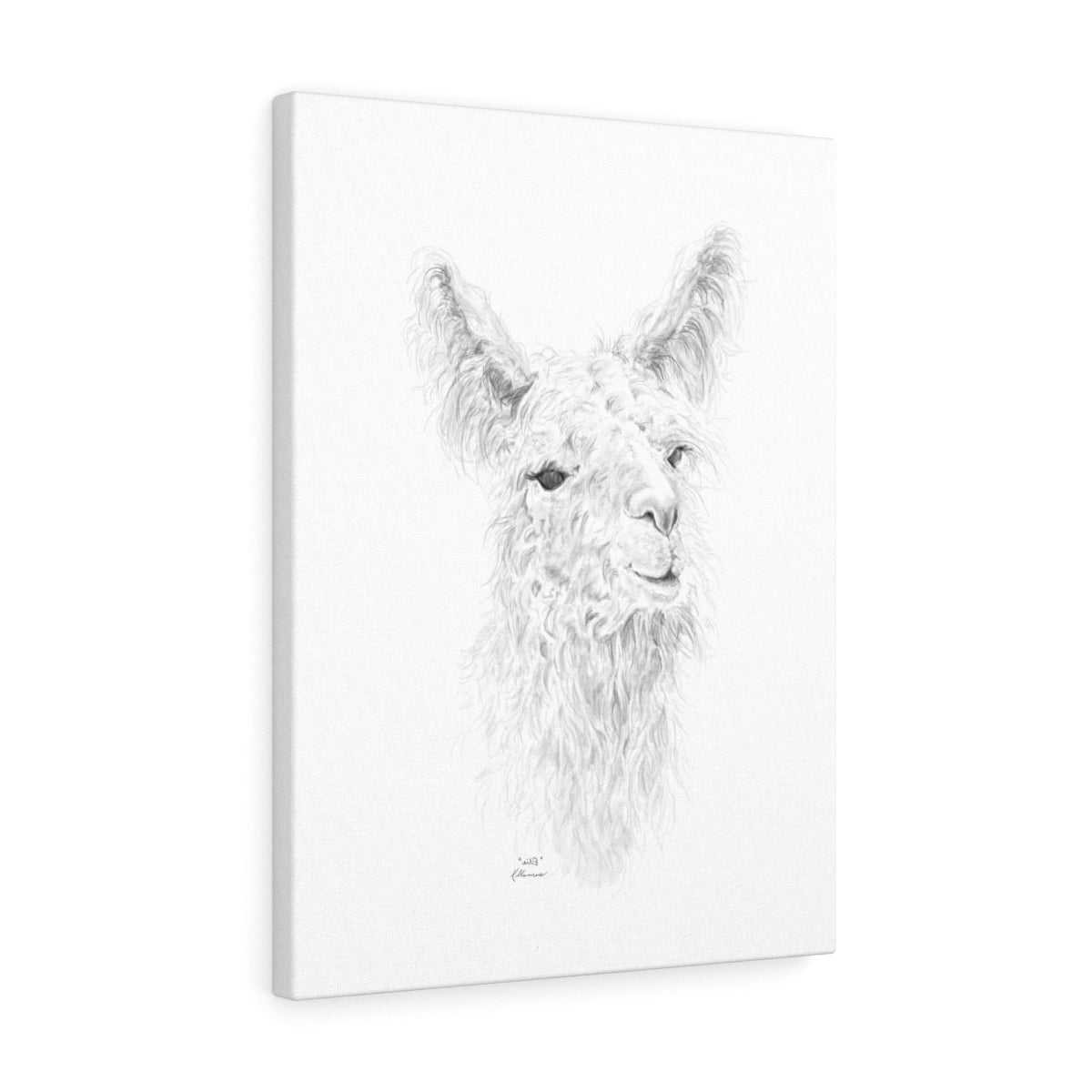 ELLIE Llama - Art Canvas