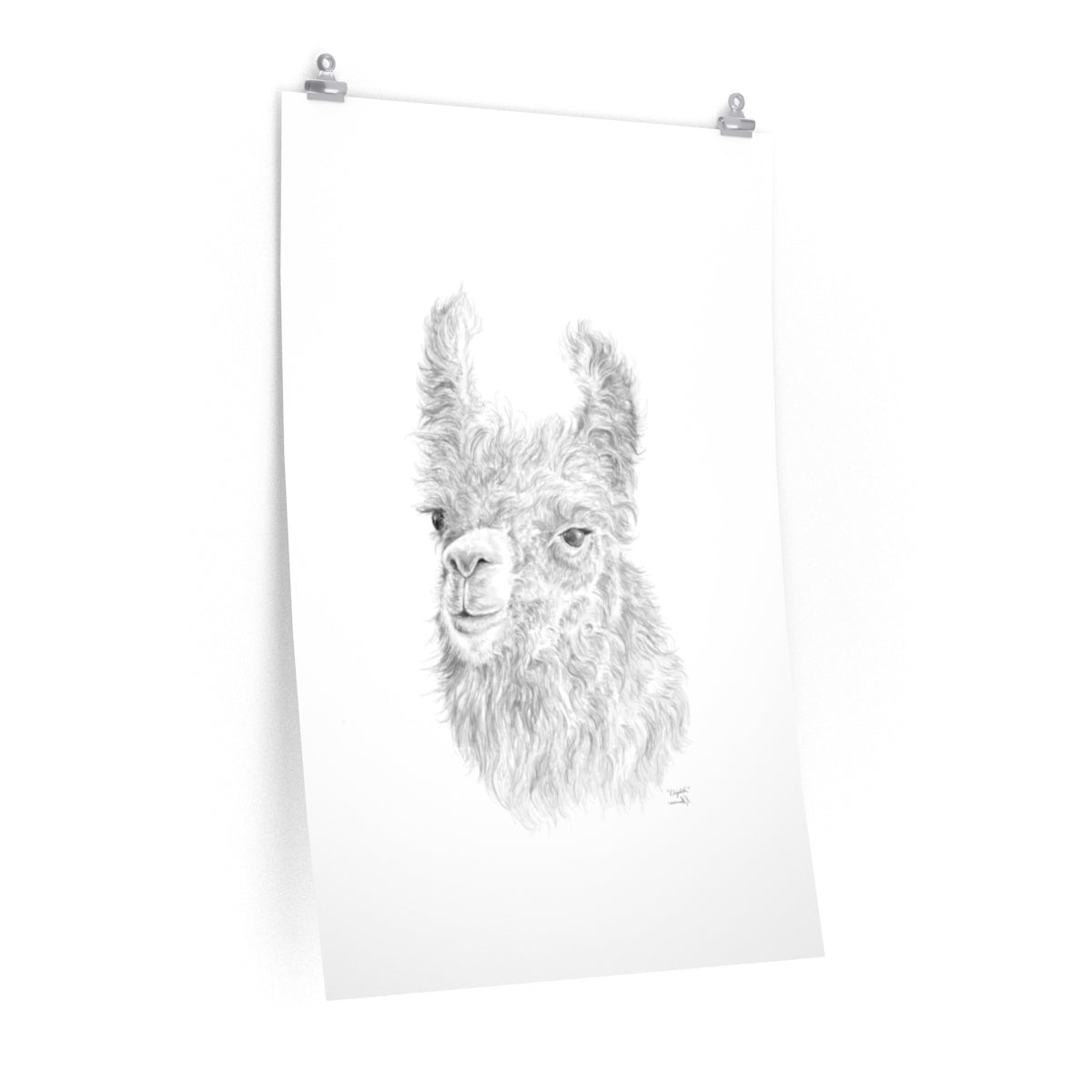 Elizabeth Llama- Art Paper Print