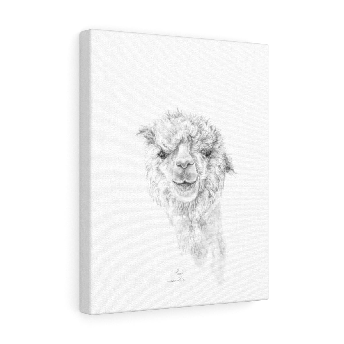 TAVI Llama - Art Canvas