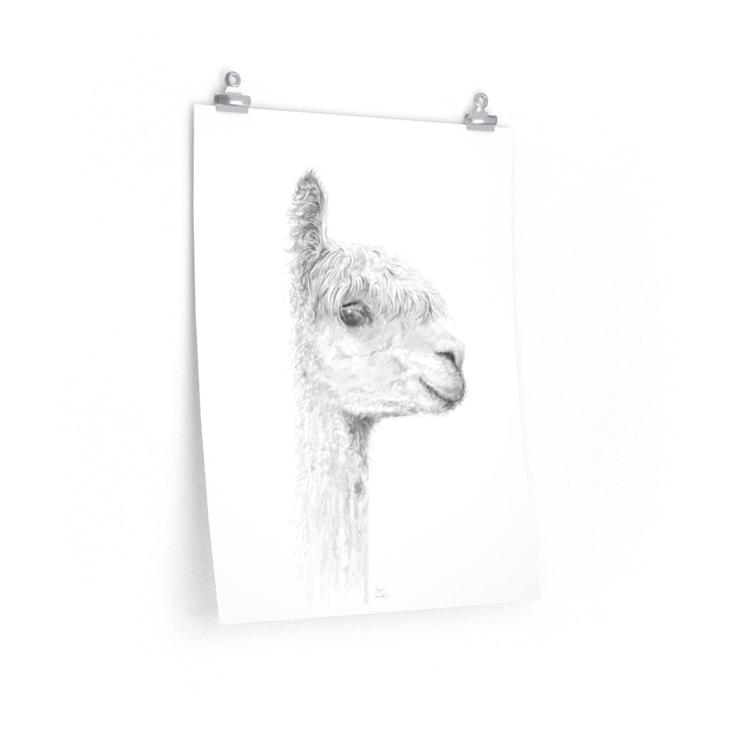 PIPER Llama- Art Paper Print