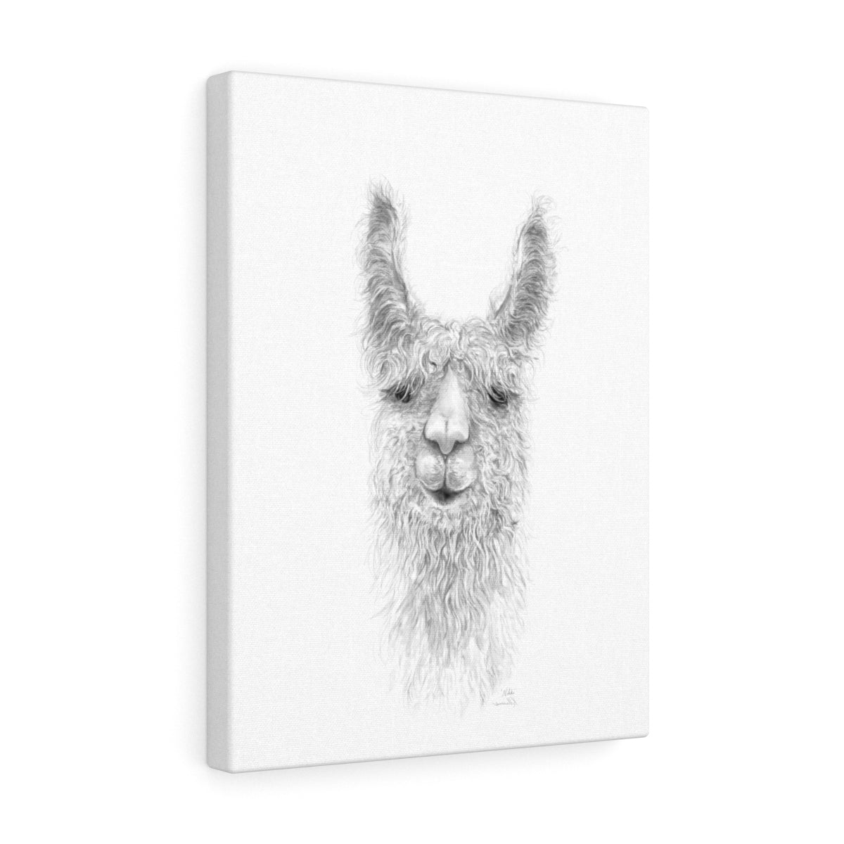 Nikki Llama - Art Canvas