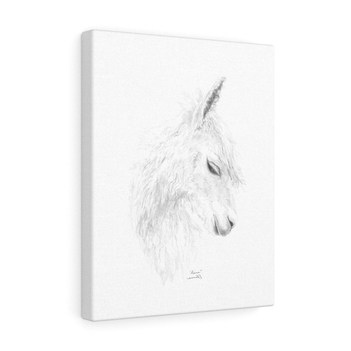 ALAINA Llama - Art Canvas