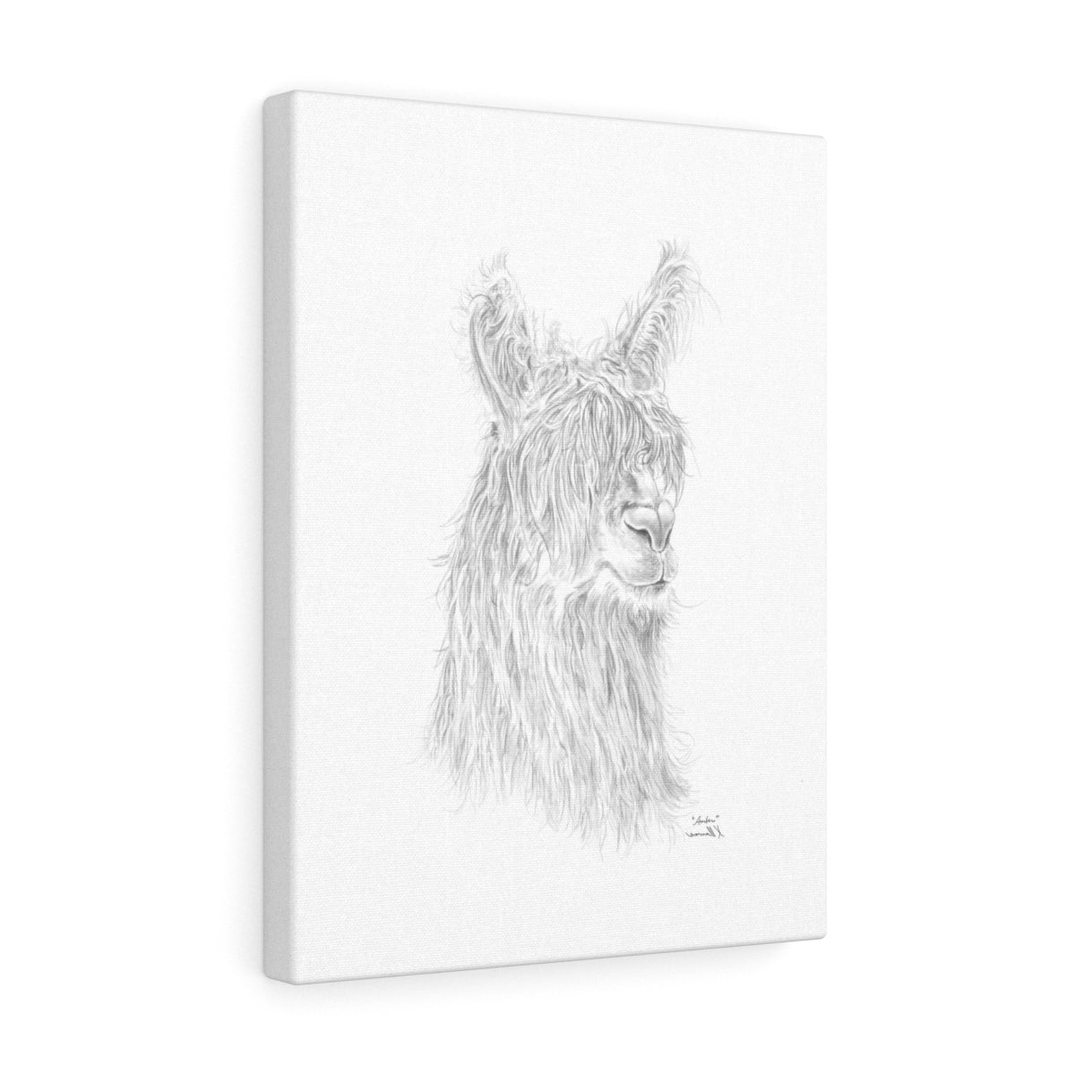 AMBER Llama - Art Canvas