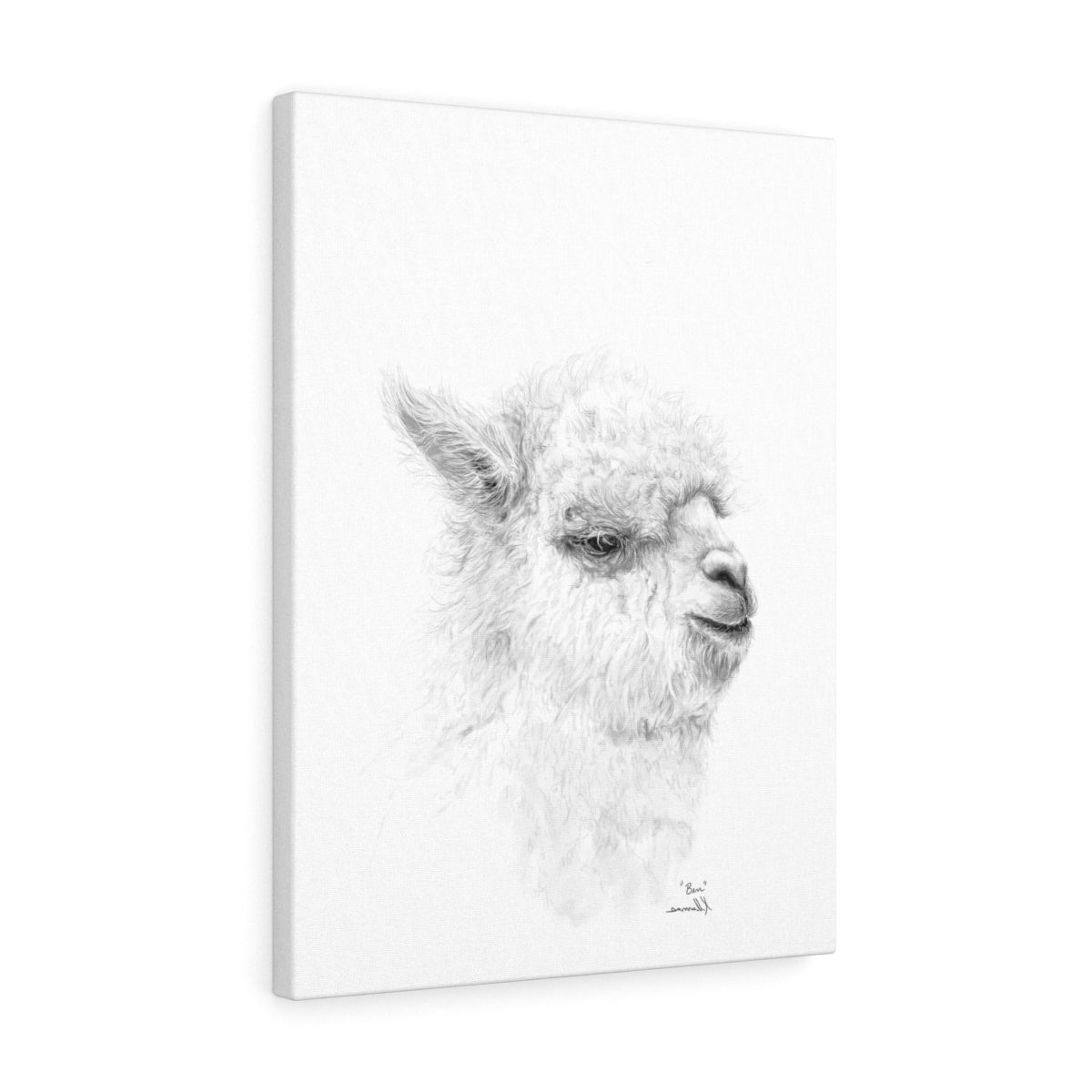 BEN Llama - Art Canvas
