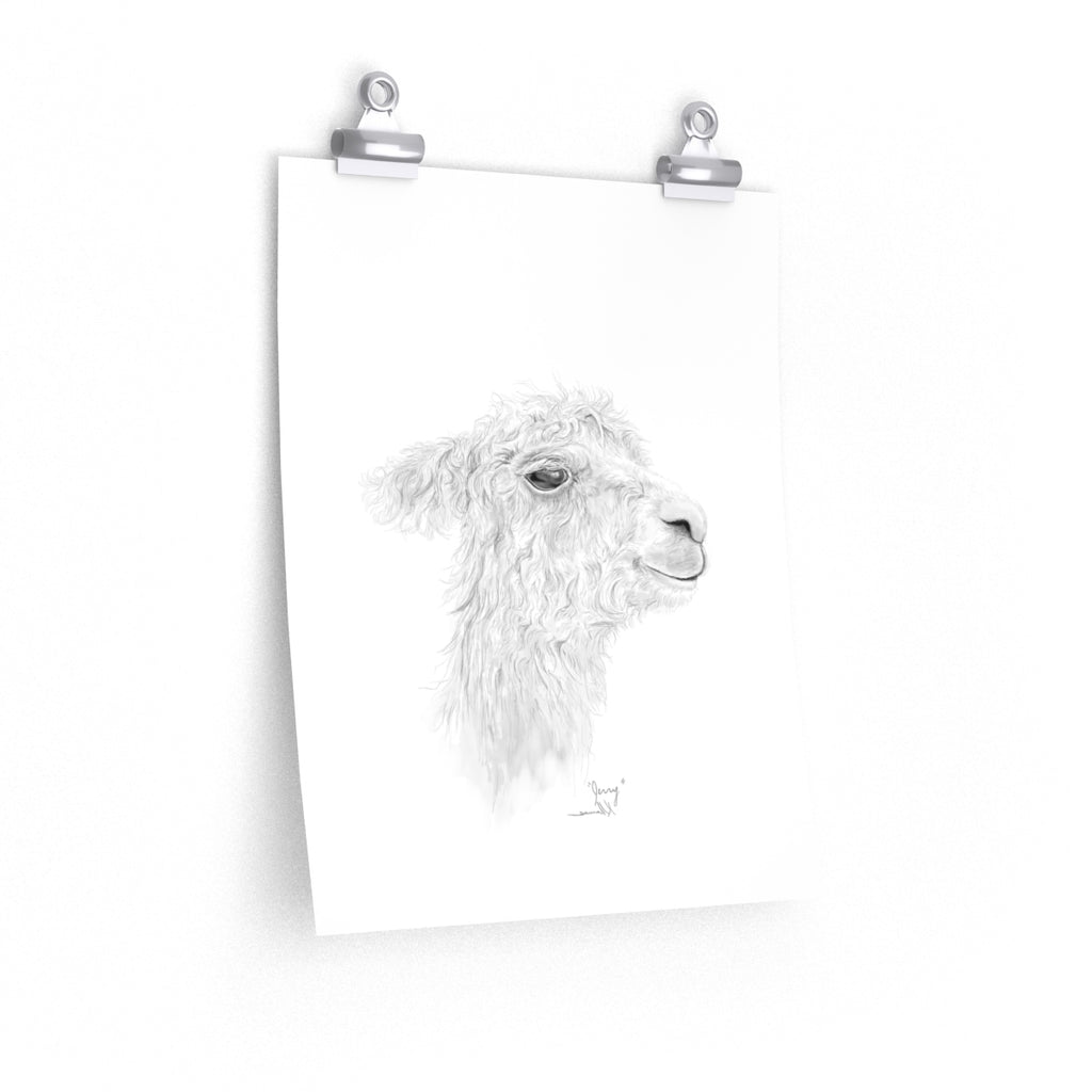JERRY Llama- Art Paper Print