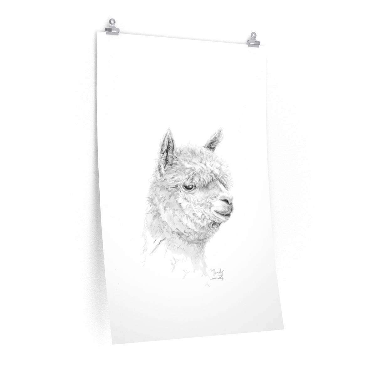 RANDY Llama- Art Paper Print