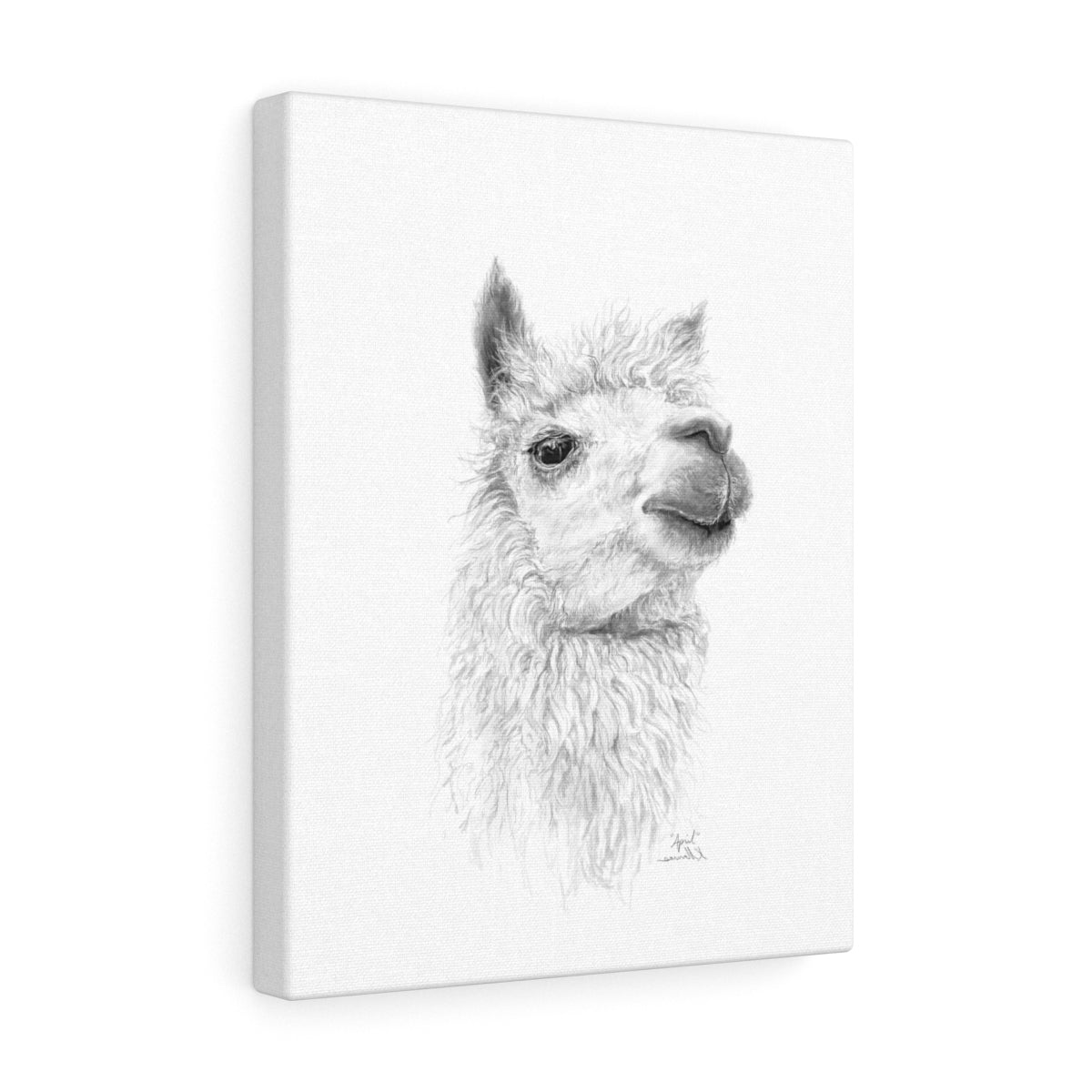 APRIL Llama - Art Canvas