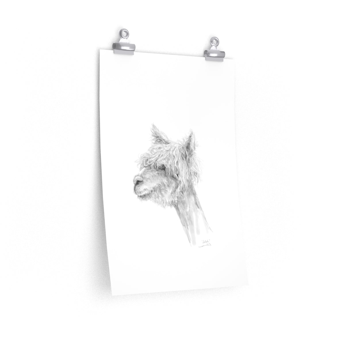 SELAH Llama- Art Paper Print