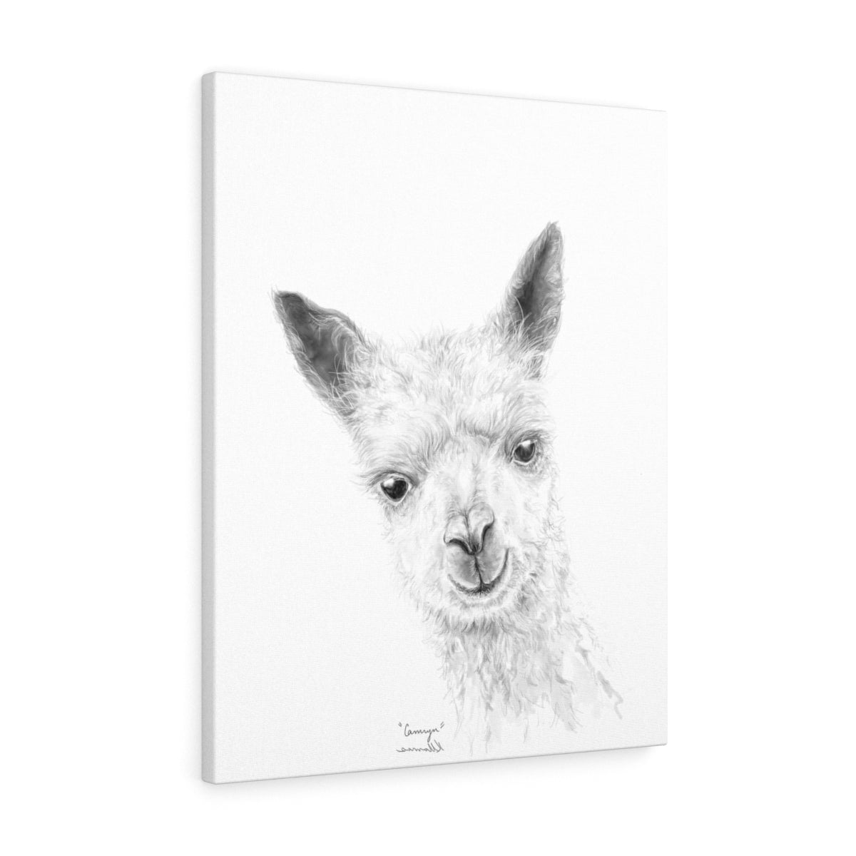CAMRYN Llama - Art Canvas
