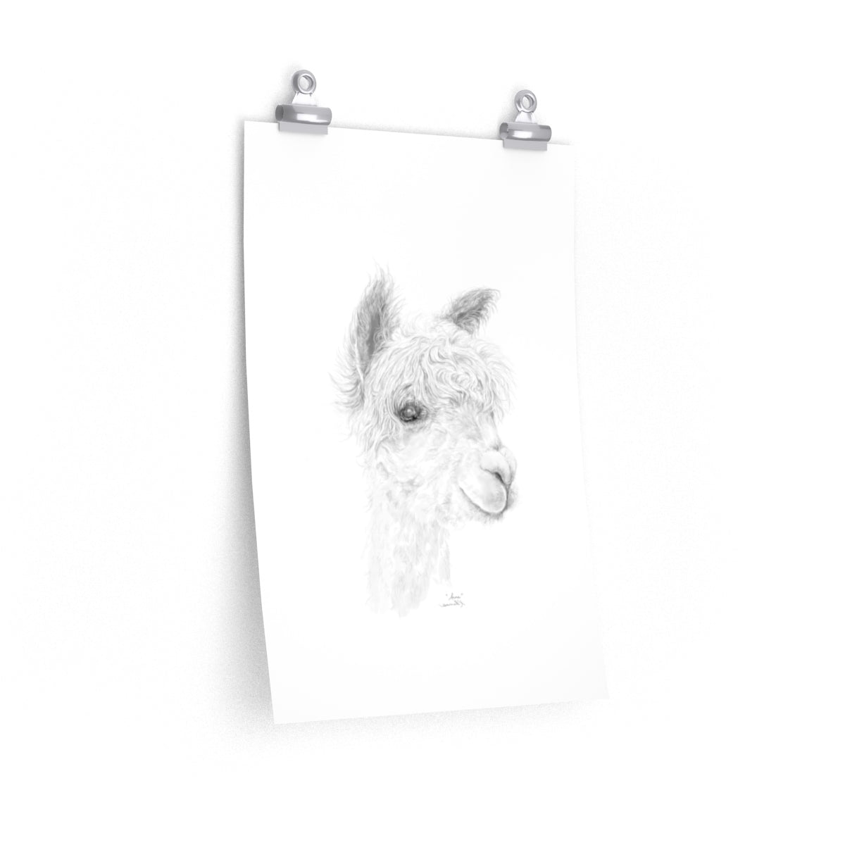 ANNE Llama- Art Paper Print