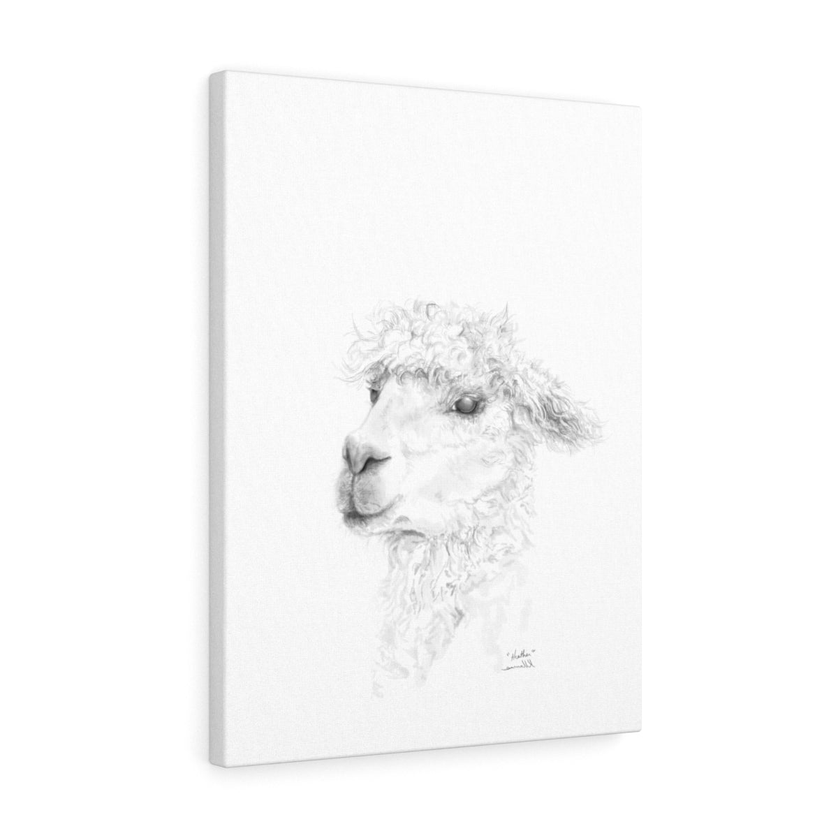 HEATHER Llama - Art Canvas