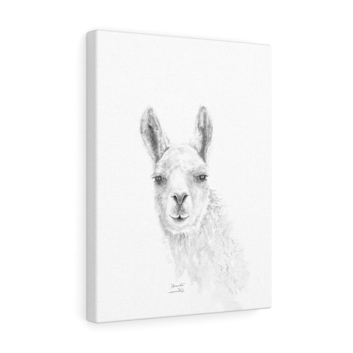 AMANDA Llama - Art Canvas