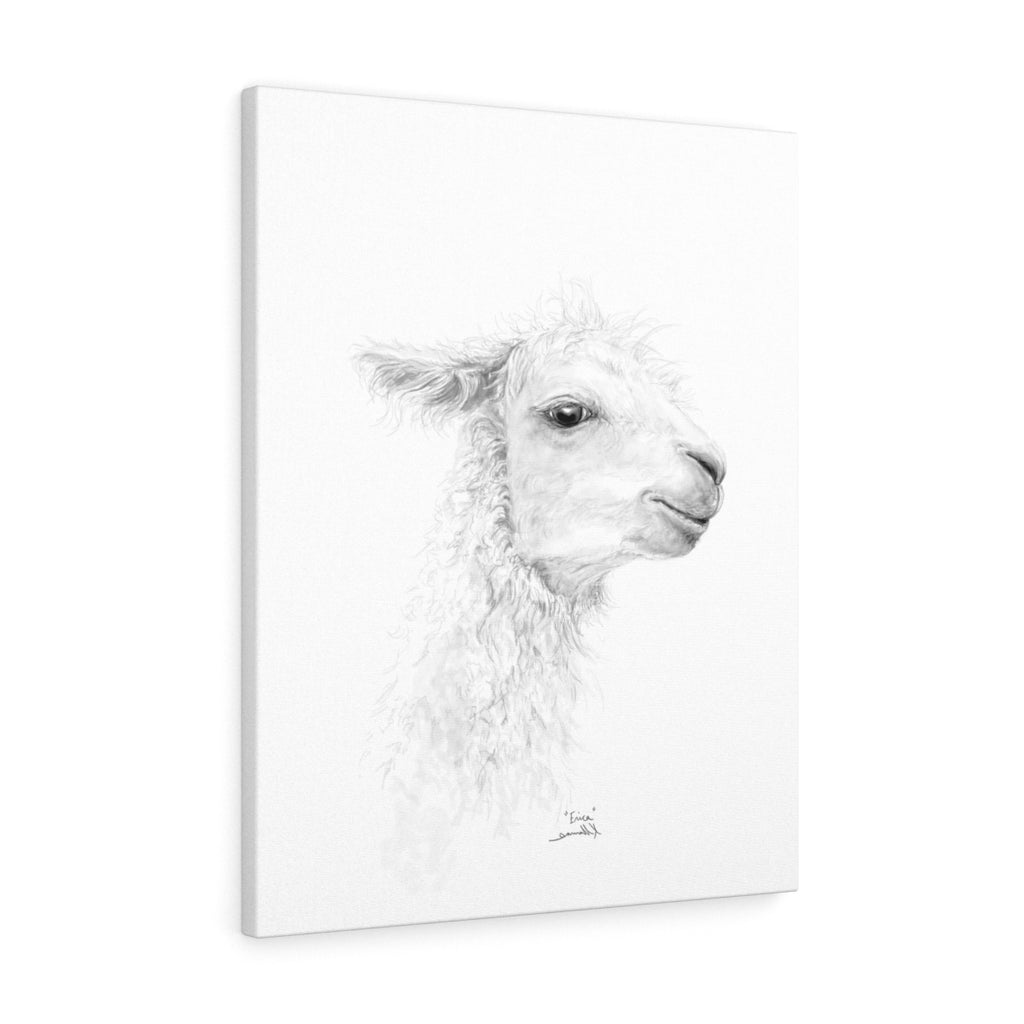 ERICA Llama - Art Canvas