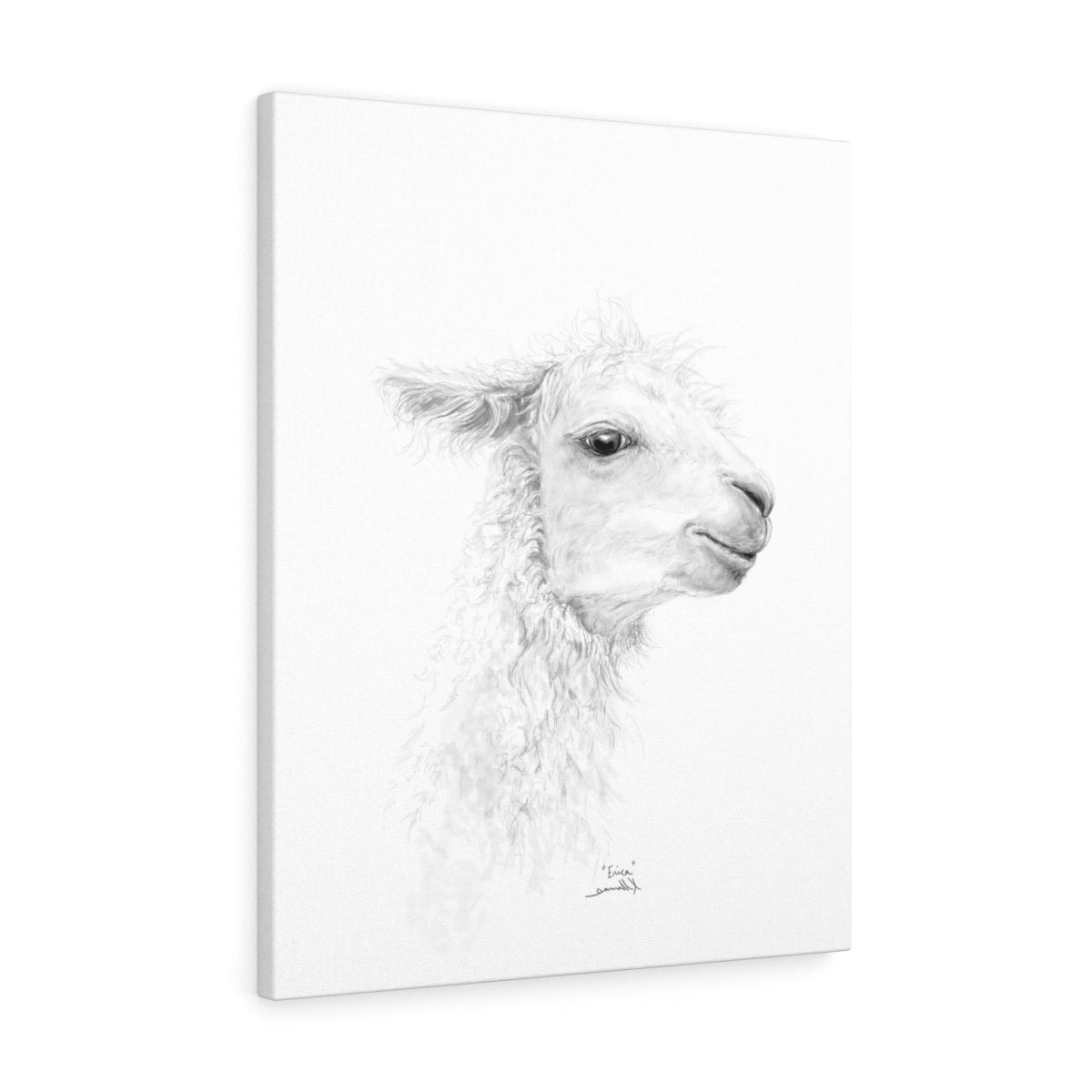 ERICA Llama - Art Canvas