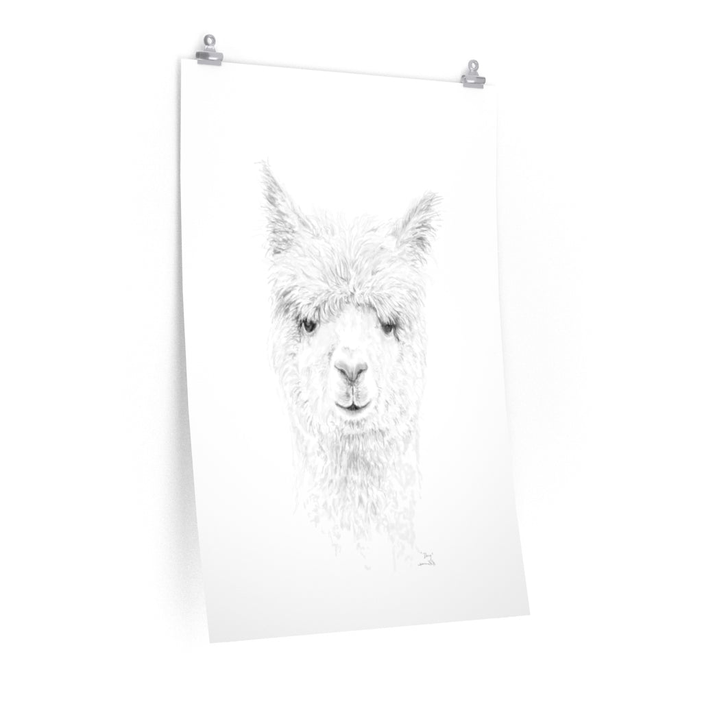 DOUG Llama- Art Paper Print
