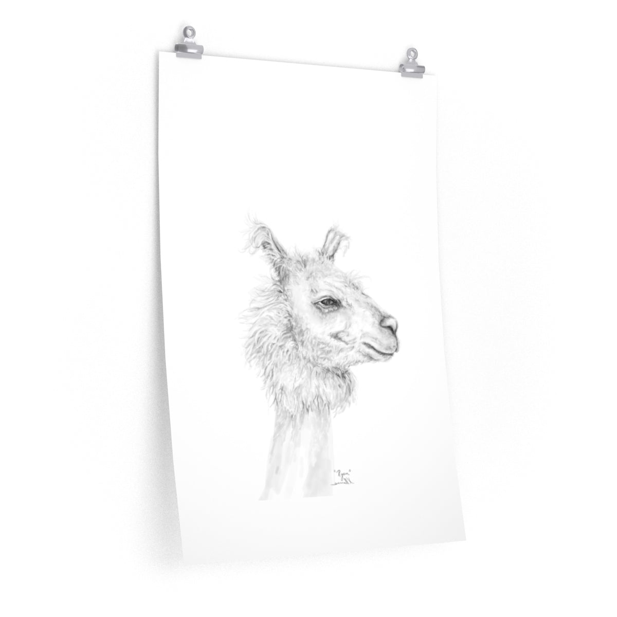 RYAN Llama- Art Paper Print