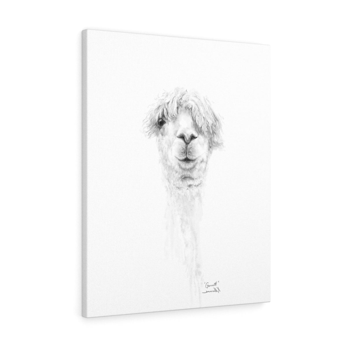 GARRETT Llama - Art Canvas
