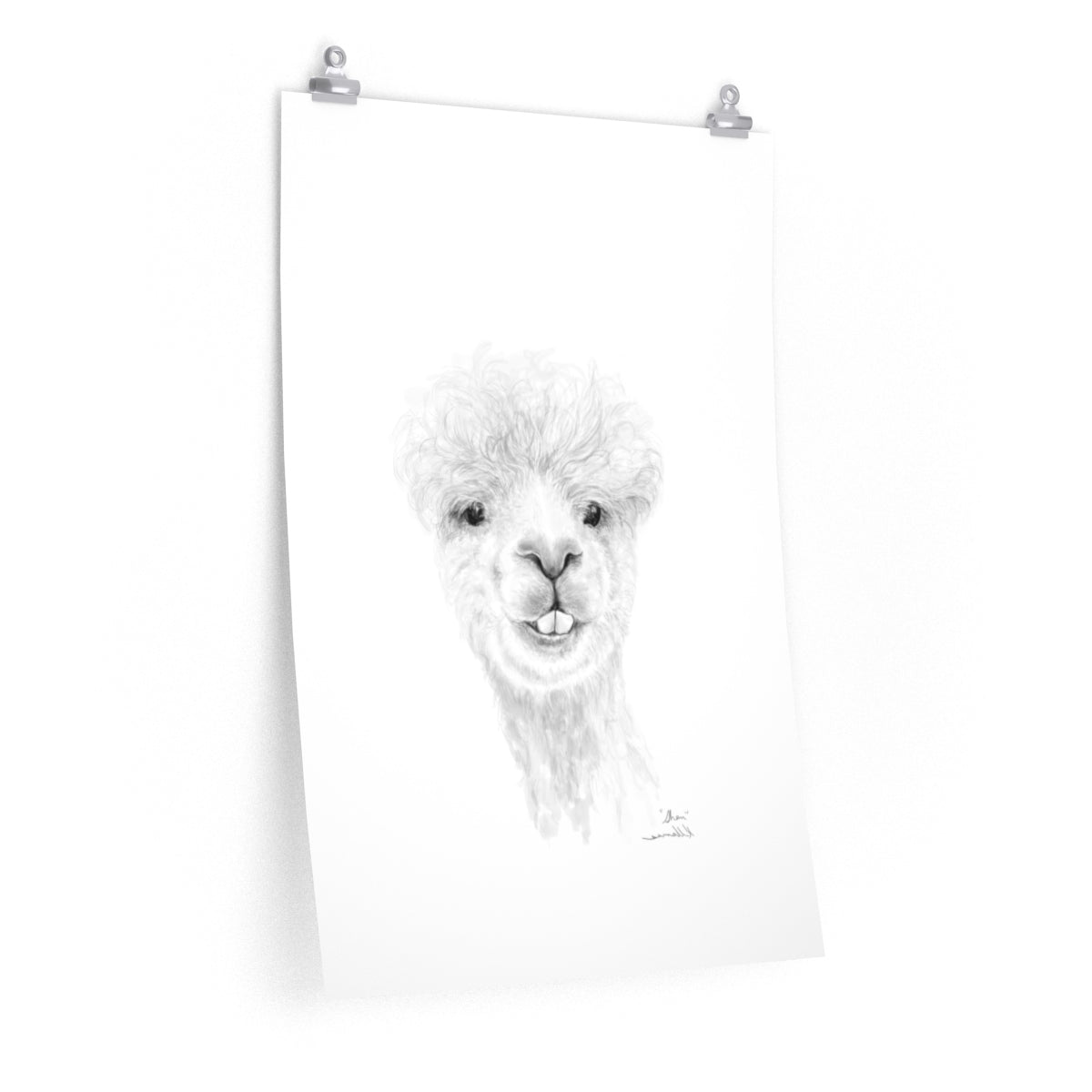 SHAN Llama- Art Paper Print