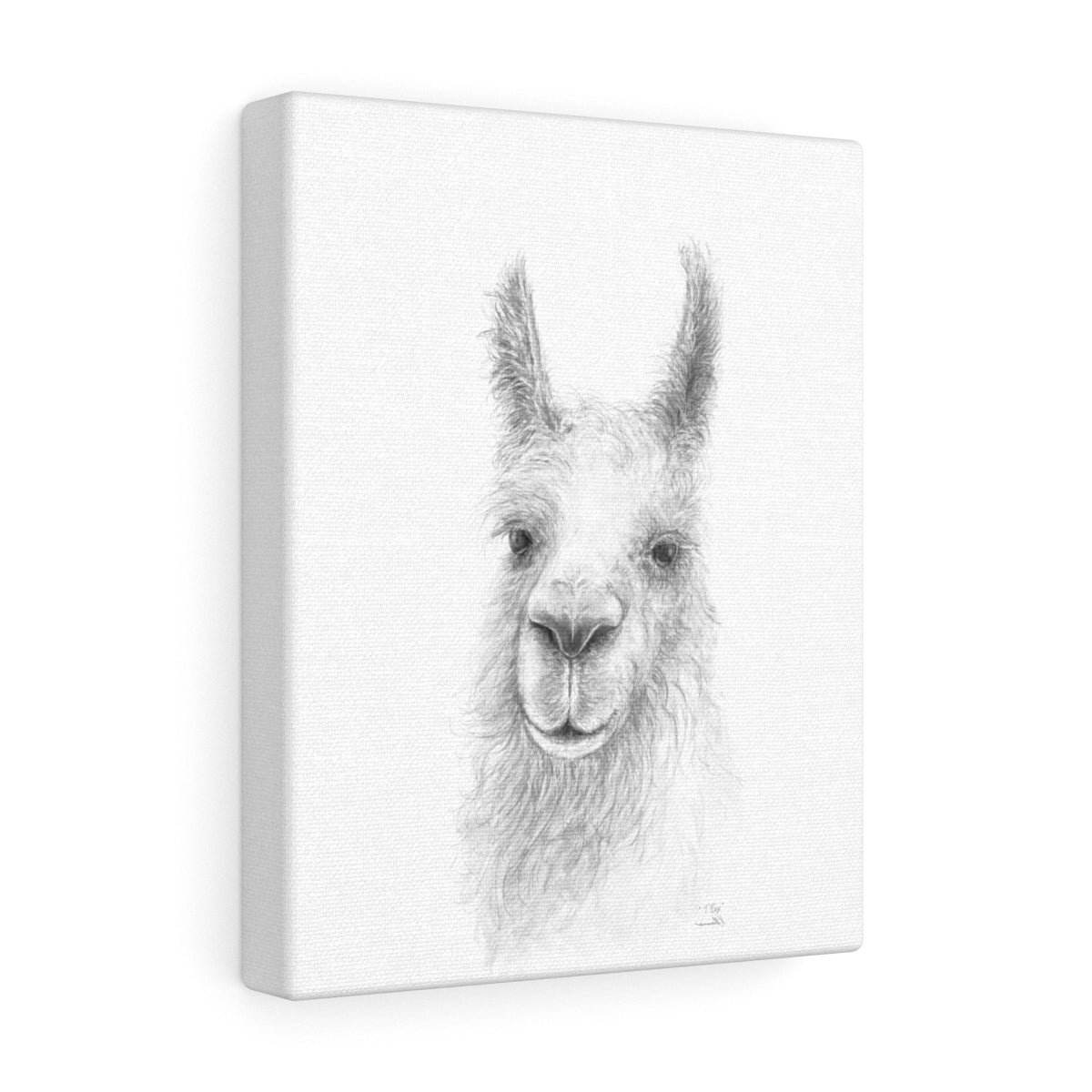 TREX Llama - Art Canvas
