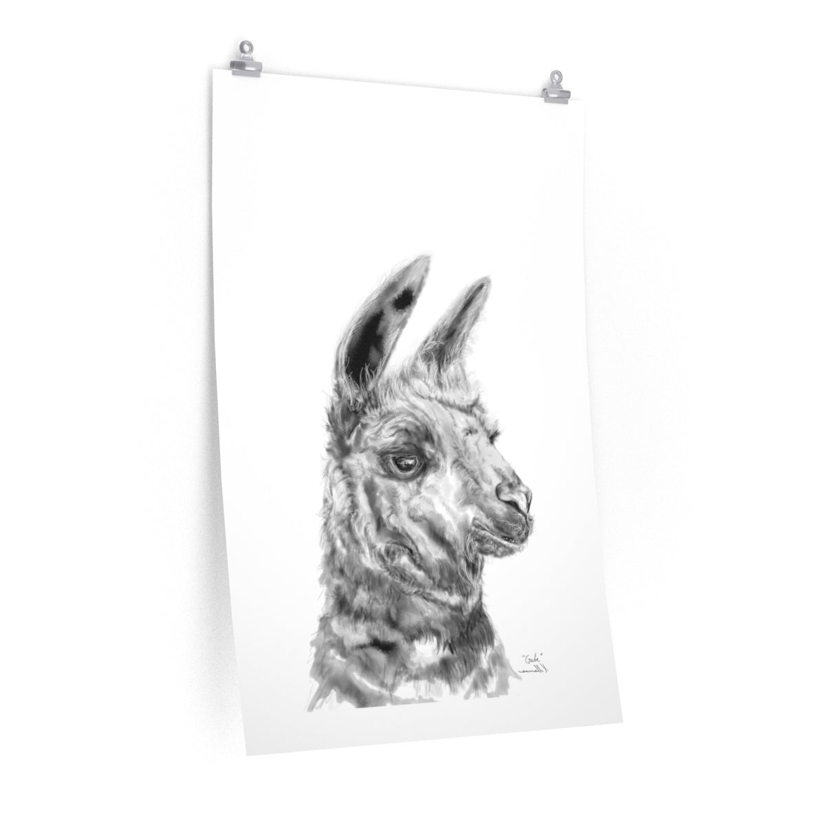 GABE Llama- Art Paper Print