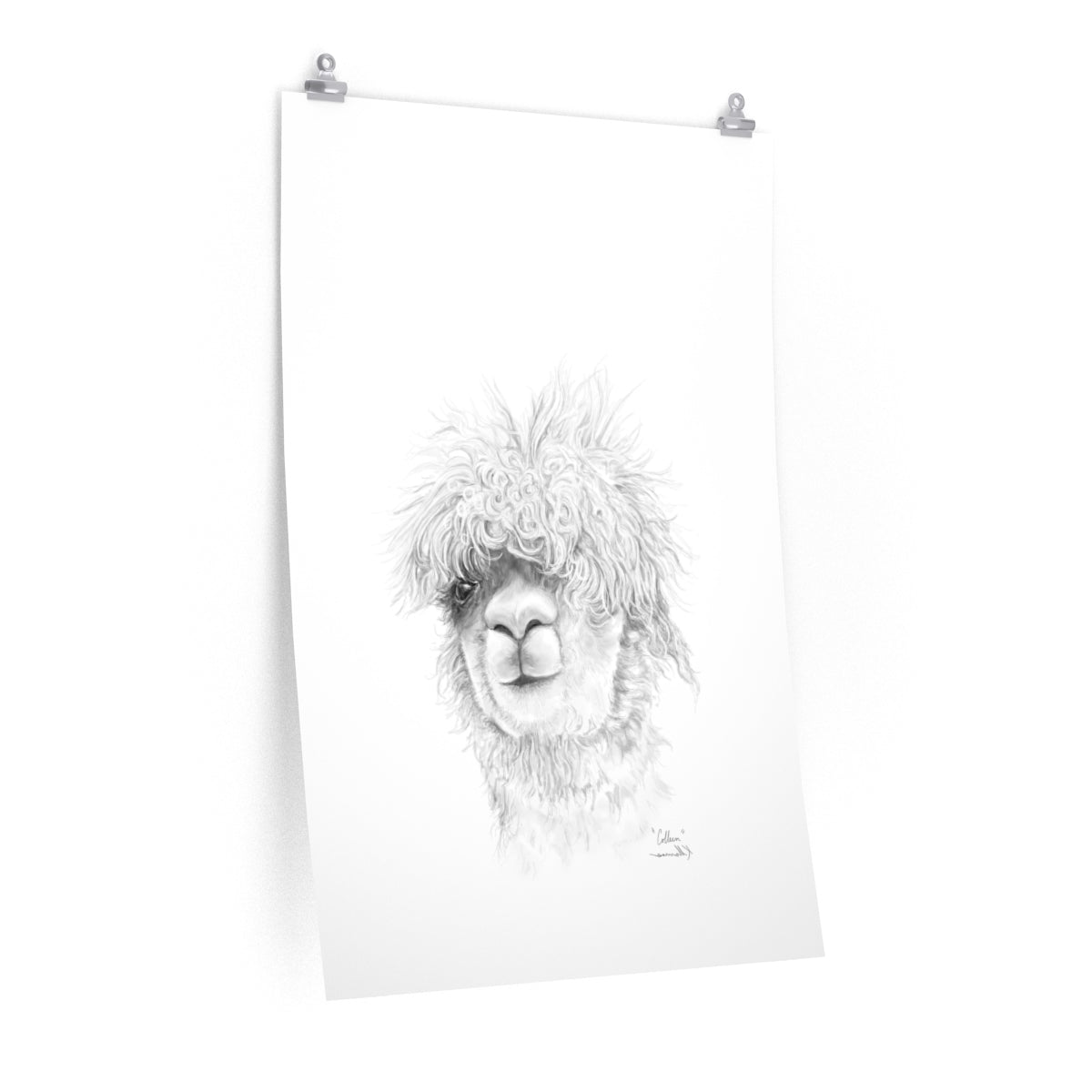 COLLEEN Llama- Art Paper Print