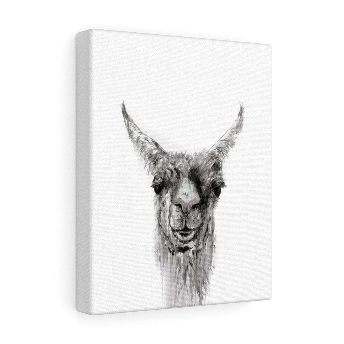 NEMORIO Llama - Art Canvas