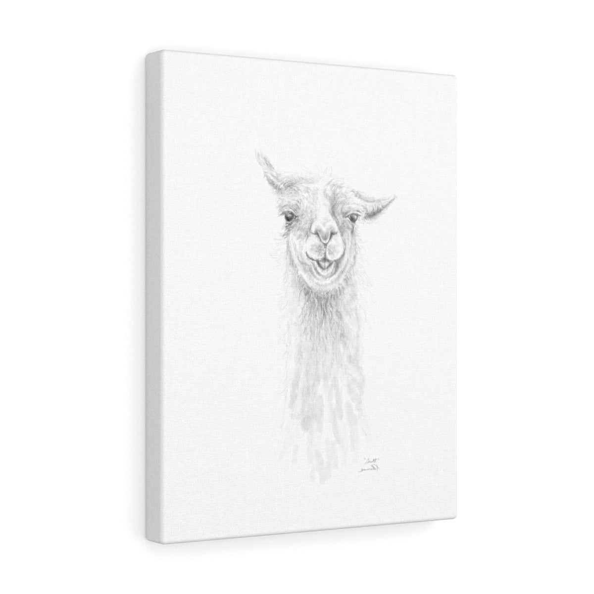 SCOTT Llama - Art Canvas