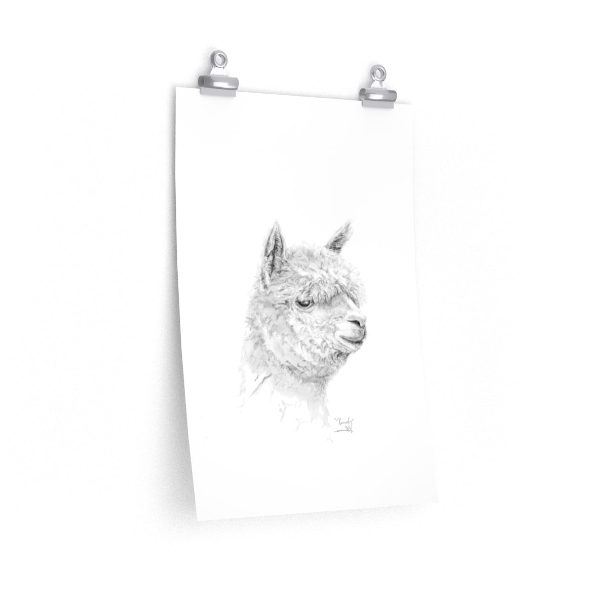 RANDY Llama- Art Paper Print