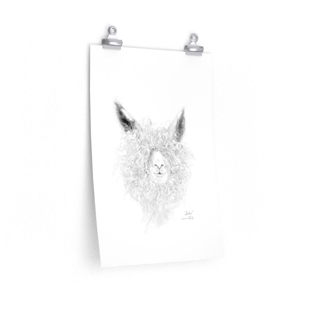 LESLIE Llama- Art Paper Print