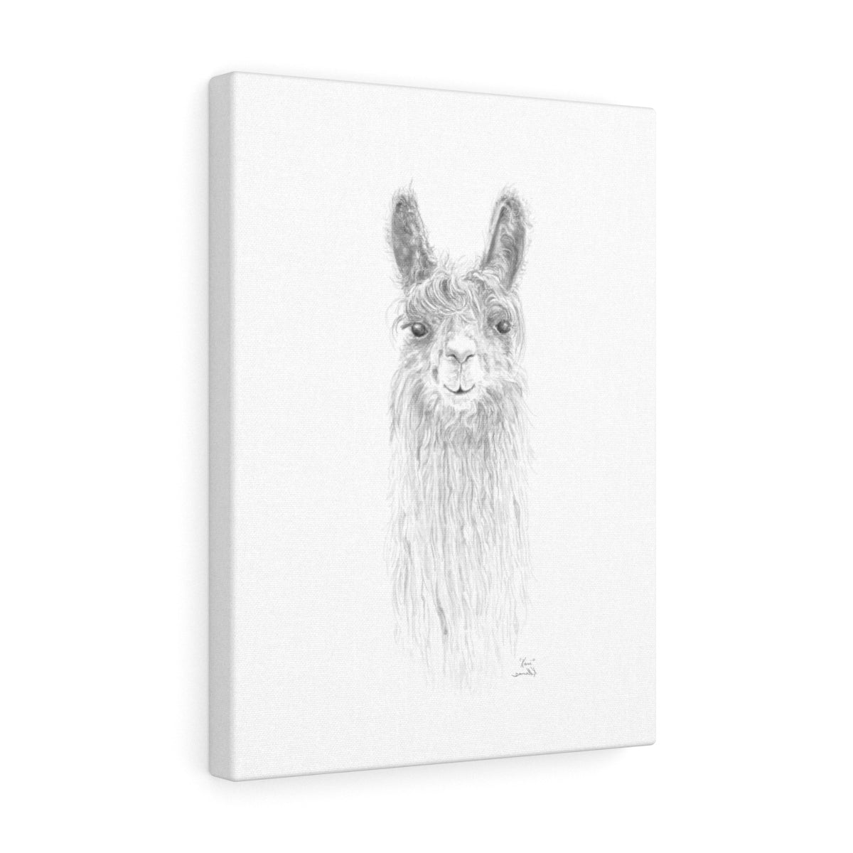 KARI Llama - Art Canvas