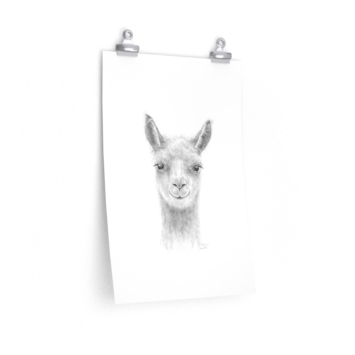 WHITNEY Llama- Art Paper Print