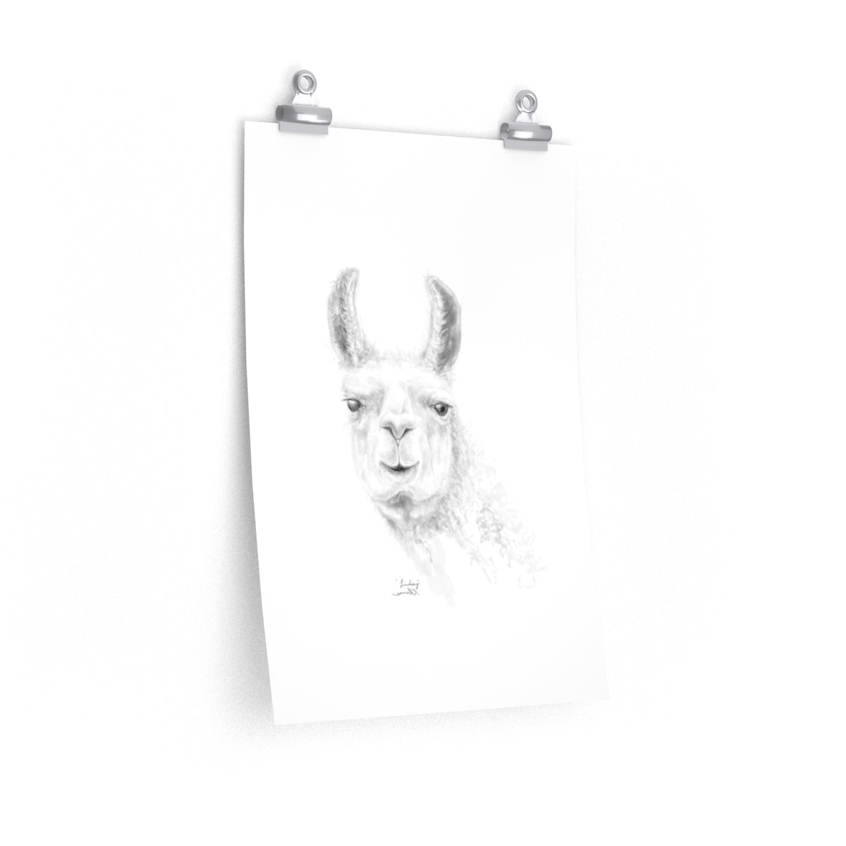 LINDSEY Llama- Art Paper Print