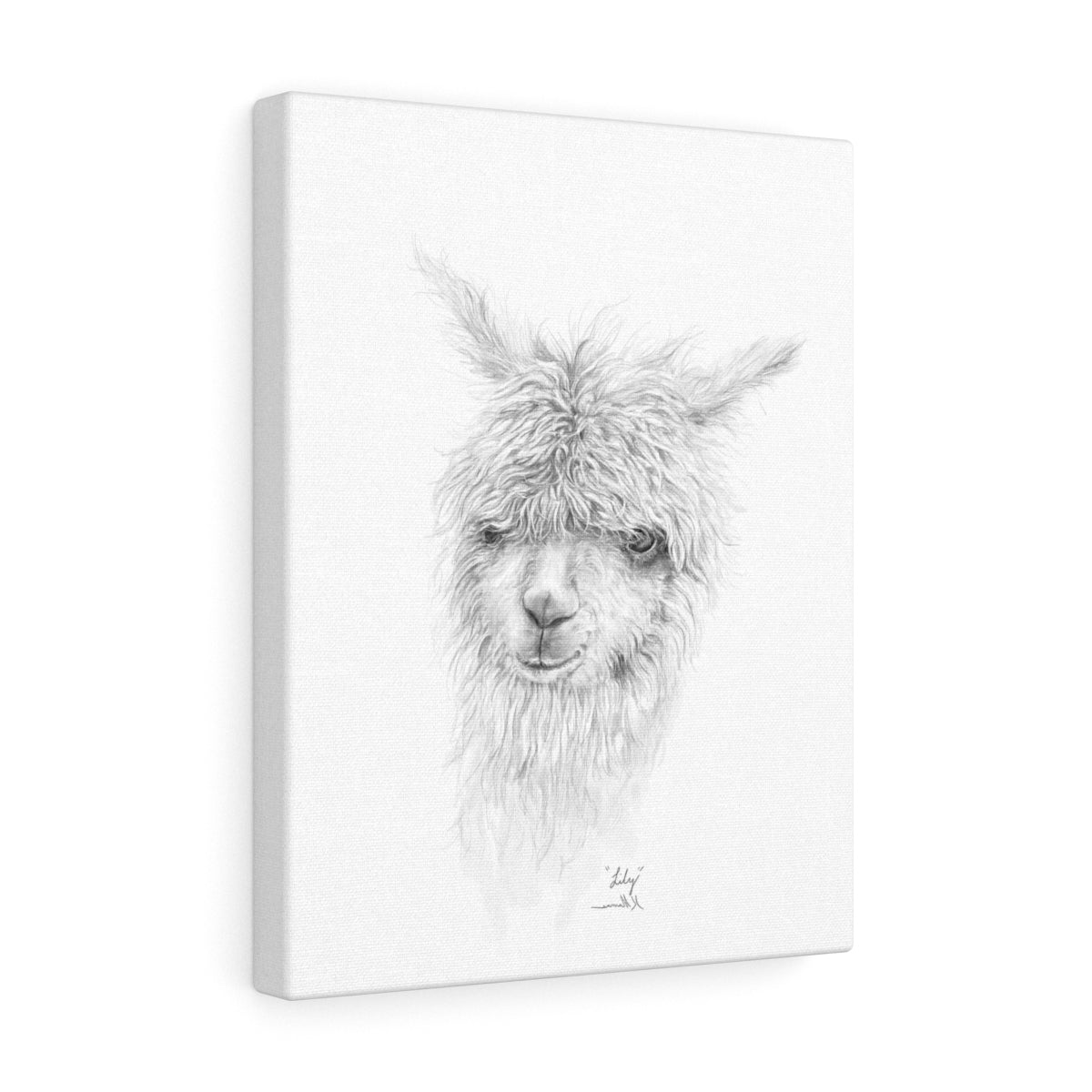LILY Llama - Art Canvas