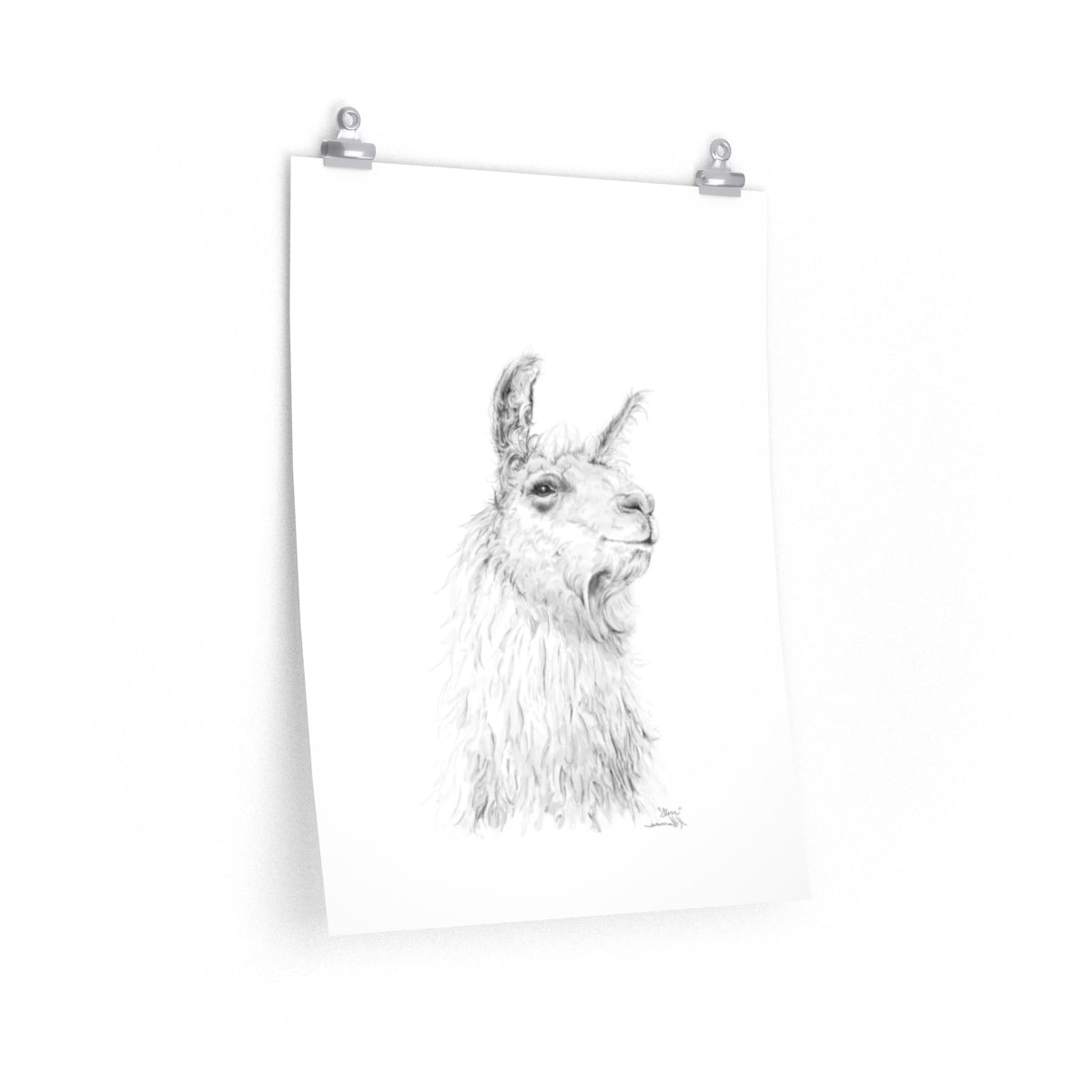 STEVE Llama- Art Paper Print