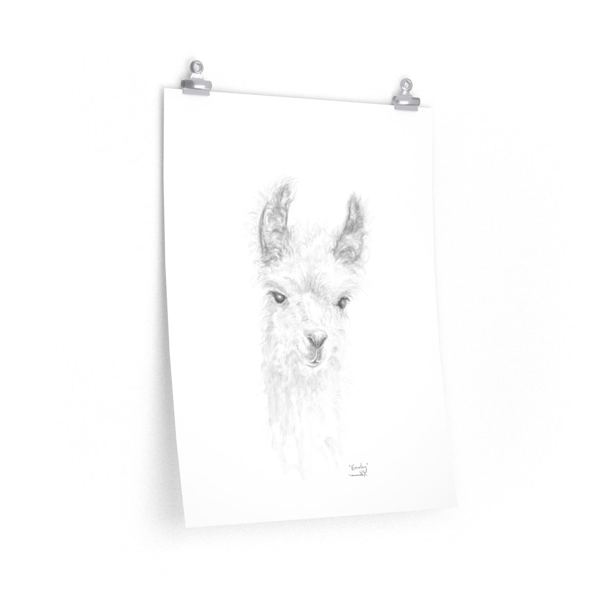 EMSLEY Llama- Art Paper Print