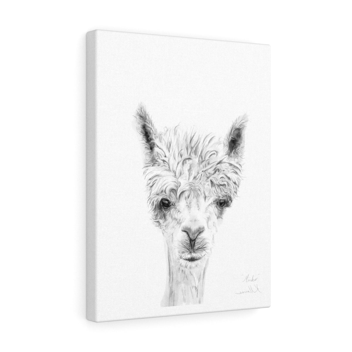 MIRKO Llama - Art Canvas