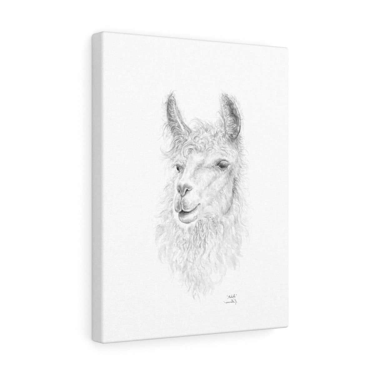 Michelle Llama - Art Canvas