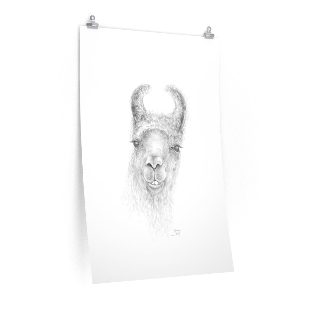 STACEY Llama- Art Paper Print