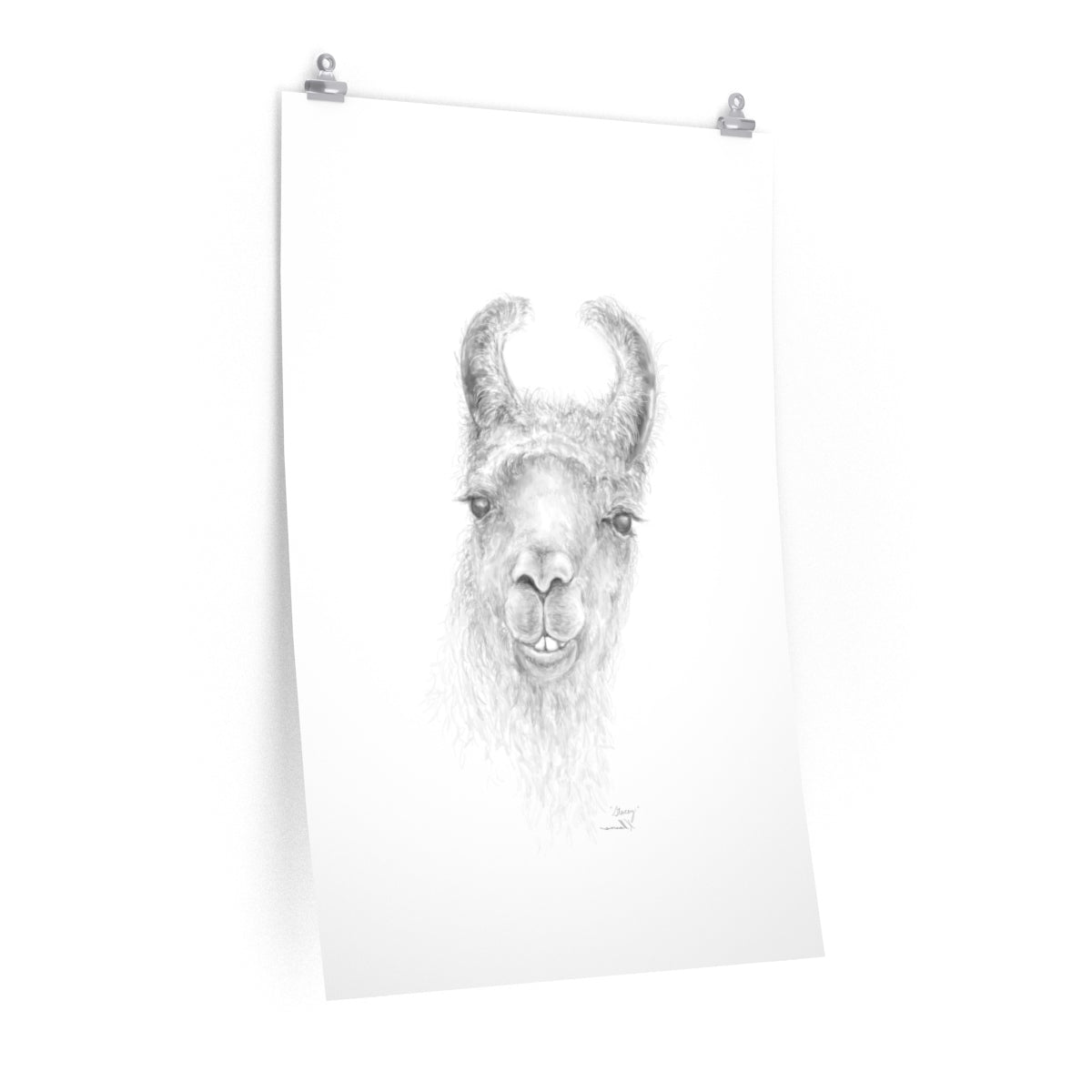 STACEY Llama- Art Paper Print