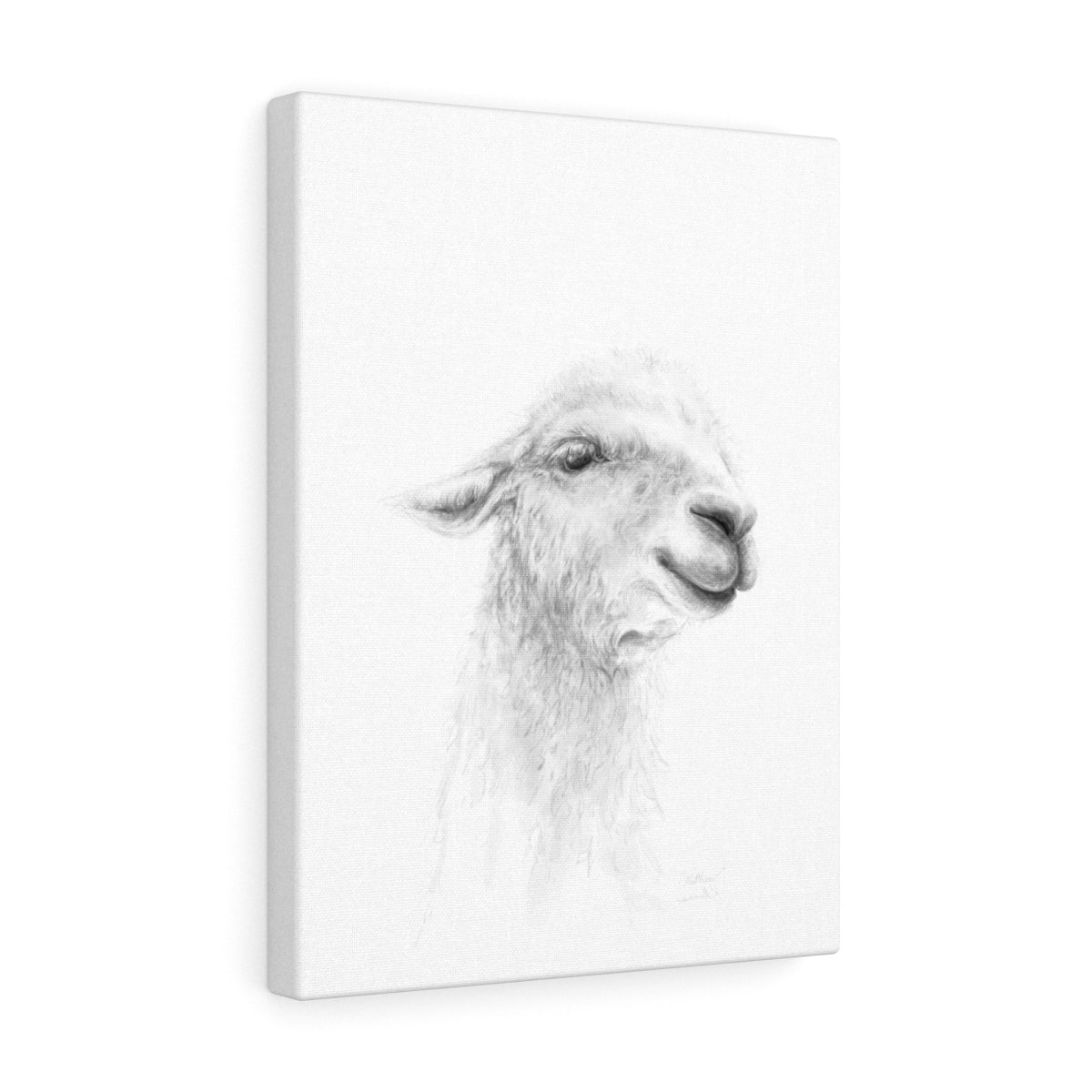 MATTHEW Llama - Art Canvas