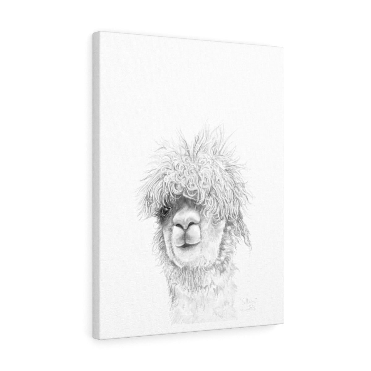 COLLEEN Llama - Art Canvas