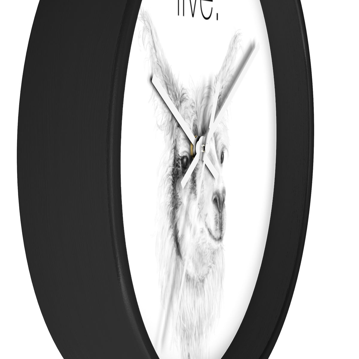 Llama LIVE Wall clock: ADAM