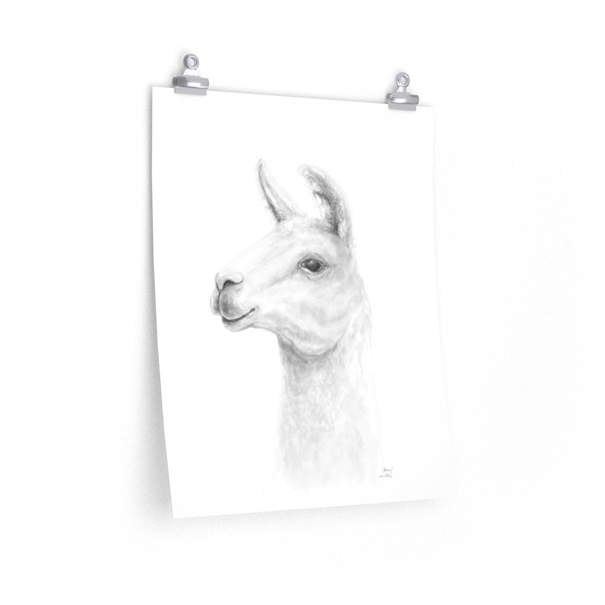 STACY Llama- Art Paper Print